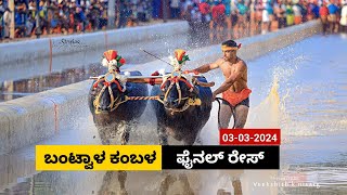 Bantwala Kambala Final Race 2024  ಬಂಟ್ವಾಳ ಕಂಬಳ ಫೈನಲ್ ರೇಸ್ 2024 [upl. by Artenehs]