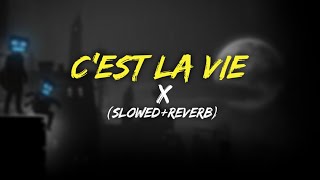 Khaled  cest la vie SlowedReverb [upl. by Aeynod997]