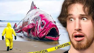 Craziest Things Found in Nature [upl. by Cathey]