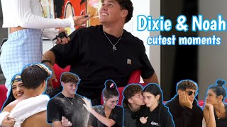 Dixie Damelio amp Noah beck  Cutest moments [upl. by Treb]