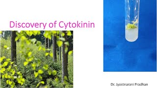 Discovery of Cytokinin [upl. by Akimihs]