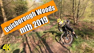 Guisborough Woods MTB 2019 4K [upl. by Chyou]