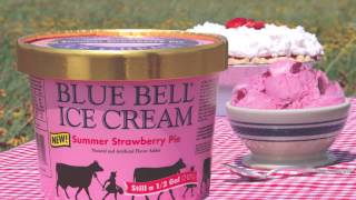 Blue Bell Ice Cream Commercial Song  quotGood Old Daysquot [upl. by Tterrab]