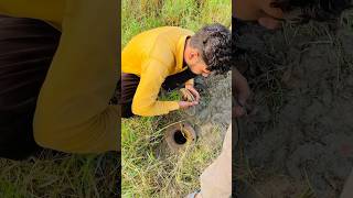 Subscribe my youtube channel scienceandtechnology farmernaturallife lawrencebishnoi shorts [upl. by Stier]