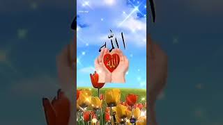 new nath Sharif 2024 ka number Van naat Sharif remix beautiful naat Sharif DJ mein naat Sharif [upl. by Eninnaj364]