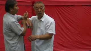 Liu He Ba Fa Master Yun Yin Sen Pushing Hands Shanghai [upl. by Akemrehs837]