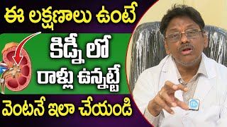 Kidney Stones Symptoms  కిడ్నీ లో రాళ్లు ఉంటే వెంటనే ఇలా చేయండి  iDream Health Tips [upl. by Yttiy]