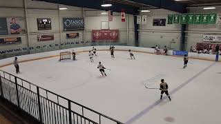 Caledon Hawks vs Scarborough Young Bruins U16AA 3rd period [upl. by Amalbergas]