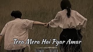 Tera 🌟Mera hai pyar Amar 💫viral lofi song please 😘110k views support me please 🥰 [upl. by Nurav598]