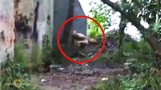 5 Videos de TERROR REAL que Desafían Toda Lógica Fantasmas y Criaturas Captados en Cámara  Parte 2 [upl. by Elletnuahs]