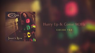 HURRY UP amp COME  B5 963Hz  Cocoa Tea Official Audio [upl. by Leontyne]