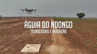 Pulverização com Drone em Angola [upl. by Ertnod]