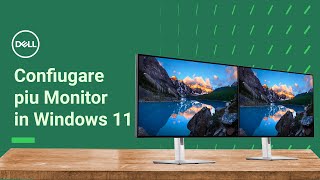 Configurare più monitor o schermi in Windows 11  Supporto Ufficiale Dell [upl. by Ellennod694]