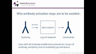 Antibody Labeling Webinar Antibody conjugation methods  which one is best for you [upl. by Yakcm]