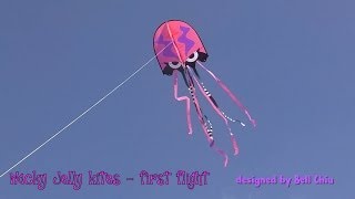 Wacky Jelly kites  first flight [upl. by Rebeh]