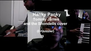 Hanky Panky  Tommy James and the Shondells cover DrQuizzler [upl. by Notecnirp]