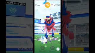 Incursión Zamazenta vs mega charizard y shiny sale mal 🫣 mejoresequiposligaultrapokemongo [upl. by Sirahs]