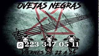 Ovejas Negras Programa 234 [upl. by Aiceila]