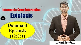 Genetics Gene Interaction Epistasis Dominant Epistasis 1231 ratio BSc amp MSc Zoology [upl. by Ak]