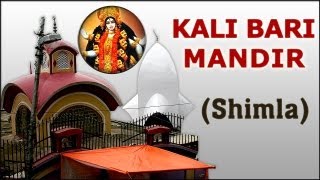 Darshan Of Kali Bari Mandir  Shimla  Temple Tours Of India [upl. by Ranilopa]