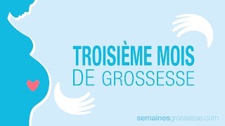 Troisième mois de grossesse  Mois 3 de grossesse  La grossesse mois par mois [upl. by Accever]