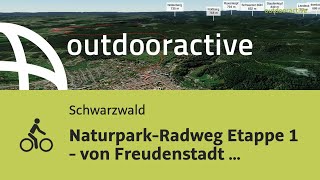 NaturparkRadweg Etappe 1  von Freudenstadt nach Gengenbach [upl. by Marley359]