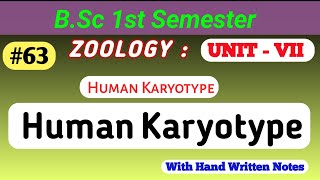 Human Karyotype  Human Chromosome and Patterns of Inheritance  bsczoology humankaryotype [upl. by Aizan]