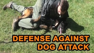 How to defend against a dog Self defense against dog attack [upl. by Cobb]