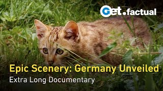 Wild Germany Scenic Journey from the Black Forest to the Coastlines  Extra Long Documentary [upl. by Colby]