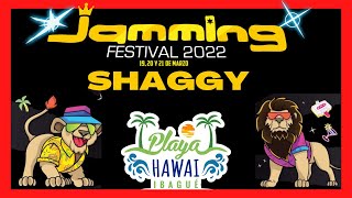 JAMMING FESTIVAL 2022  SHAGGY [upl. by Den]