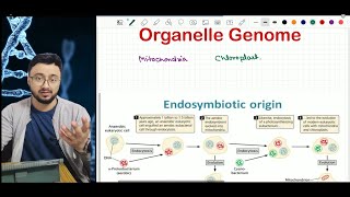 Organelle genome Origin story of Mitochondria and Chloroplast ARS Agri Biotech  CSIR ICARJRF [upl. by Nomelif477]