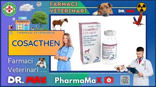 🐶 COSACTHEN Farmaco Veterinario a cosa serve   Foglietto Illustrativo 👔 Dr MAX [upl. by Okin333]