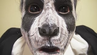 メイクでパンダ再現してみた。Makeup transformation Panda [upl. by Coppock]