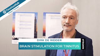 Dirk de Ridder on Brain Stimulation for Tinnitus — TRI2019 [upl. by Loris628]