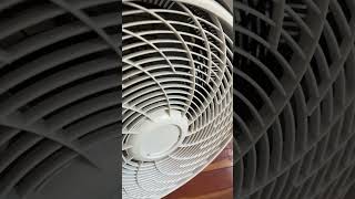 Lasko cyclone fan [upl. by Fleisher]