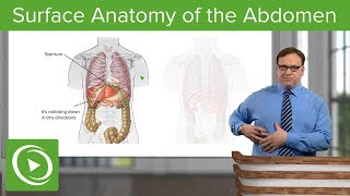 Introduction To Anatomy Physiology Abdominal Sections 0109 [upl. by Arais]