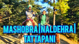 ROAD TRIP 2023  SHIMLA  MASHOBRA  NALDEHRA  TATTAPANI  Naldehra Golf Course [upl. by Vaish]