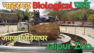 Nahargarh Biological Park Jaipur  Jaipur Zoo  Jaipur chidiyaghar  जयपुर चिड़ियाघर [upl. by Nhaj861]