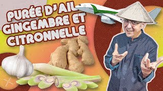 LA PURÉE DAIL GINGEMBRE ET CITRONNELLE [upl. by Prudi]