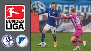 FC Schalke 04 vs TSG 1899 Hoffenheim ᴴᴰ 09012021 15Spieltag  1 Bundesliga  FIFA 21 [upl. by Hadihsar]