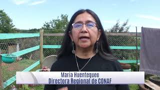 CONAF y Gobierno Regional de La Araucanía impulsan programa para la recuperación hidrológica [upl. by Bekki]