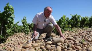 Les terrasses de galets roulés de ChâteauneufduPape [upl. by Anos]