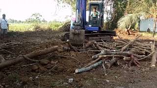 Exavator babat pohon bambu  Tunggak bambu pethukbambupethuktunggaksejarah [upl. by Nnairrek]