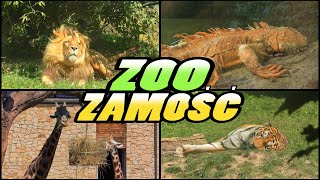 ZOO Zamość  Ogród Zoologiczny im Stefana Milera  Zamość Poland 4k [upl. by Malissia]