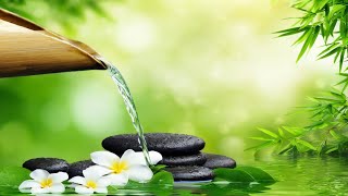 Bamboo Water Fountain Healing 247 自然の音とともに音楽をリラックス バンブーウォーターファウンテン [upl. by Larcher]