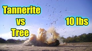 Destroyed a Tree with Tannerite [upl. by Mandy]