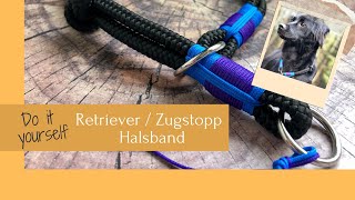 Retrievier  Zugstop Halsband Tau fertigen  Zweifarbige Tagelage  Do it yourself [upl. by Etsyrk767]