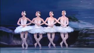 Swan Lake  Tchaikovsky [upl. by Lou695]