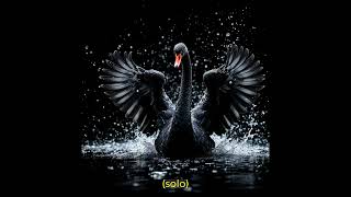 The black swan [upl. by Aneleve]