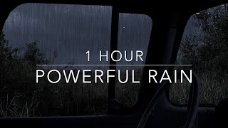 Powerful night thunderstorm  Heavy Rain and Thunder  Rain Sounds for sleep  1 hour Windy Rain [upl. by Nogaem]